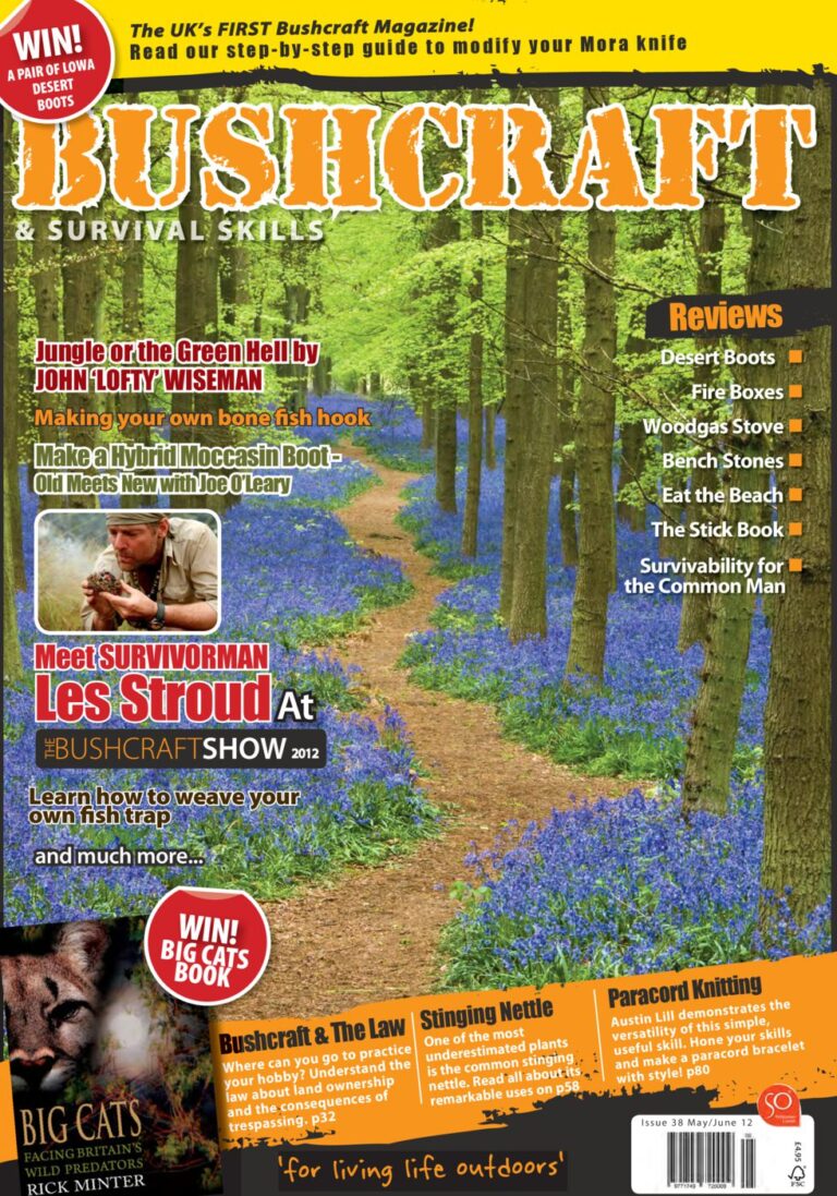 issue_38_cover